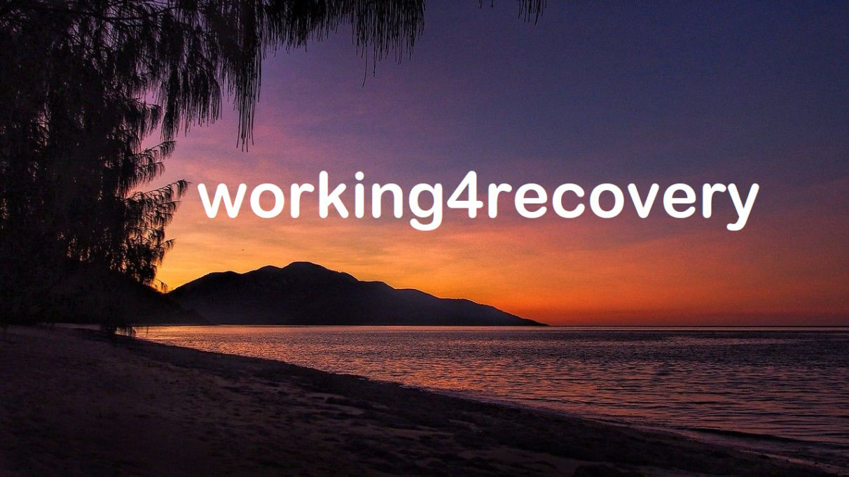 working4recovery.com